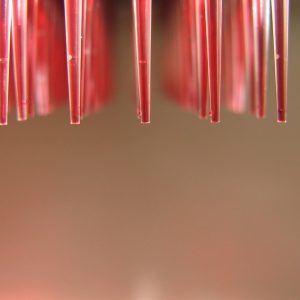 ¿Usar tus canales de distribución de manera eficiente?