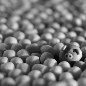 Vivere Stays “direct	demand booster»  – Part 2: Cooperaciones